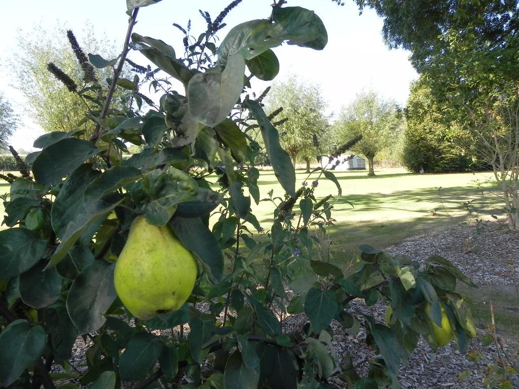 Hoeve De Mertel Biezenmortel